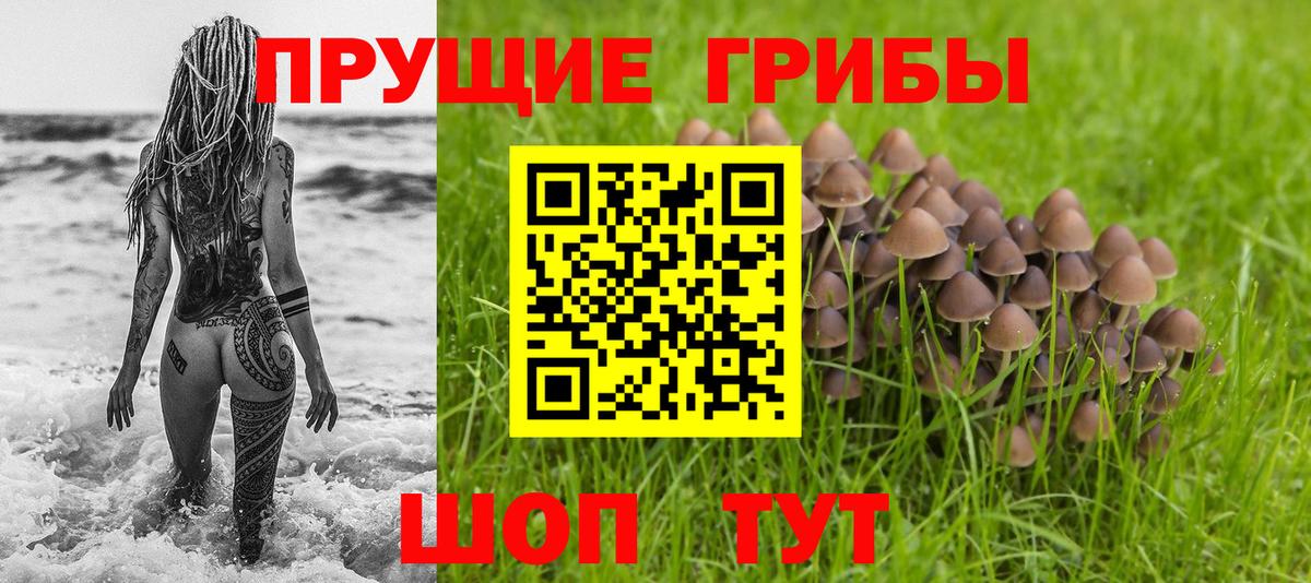 Биробиджан  Псилоцибиновые грибы MAGIC MUSHROOMS  Псилоцибиновые грибы мицелий  Вход с VPN 